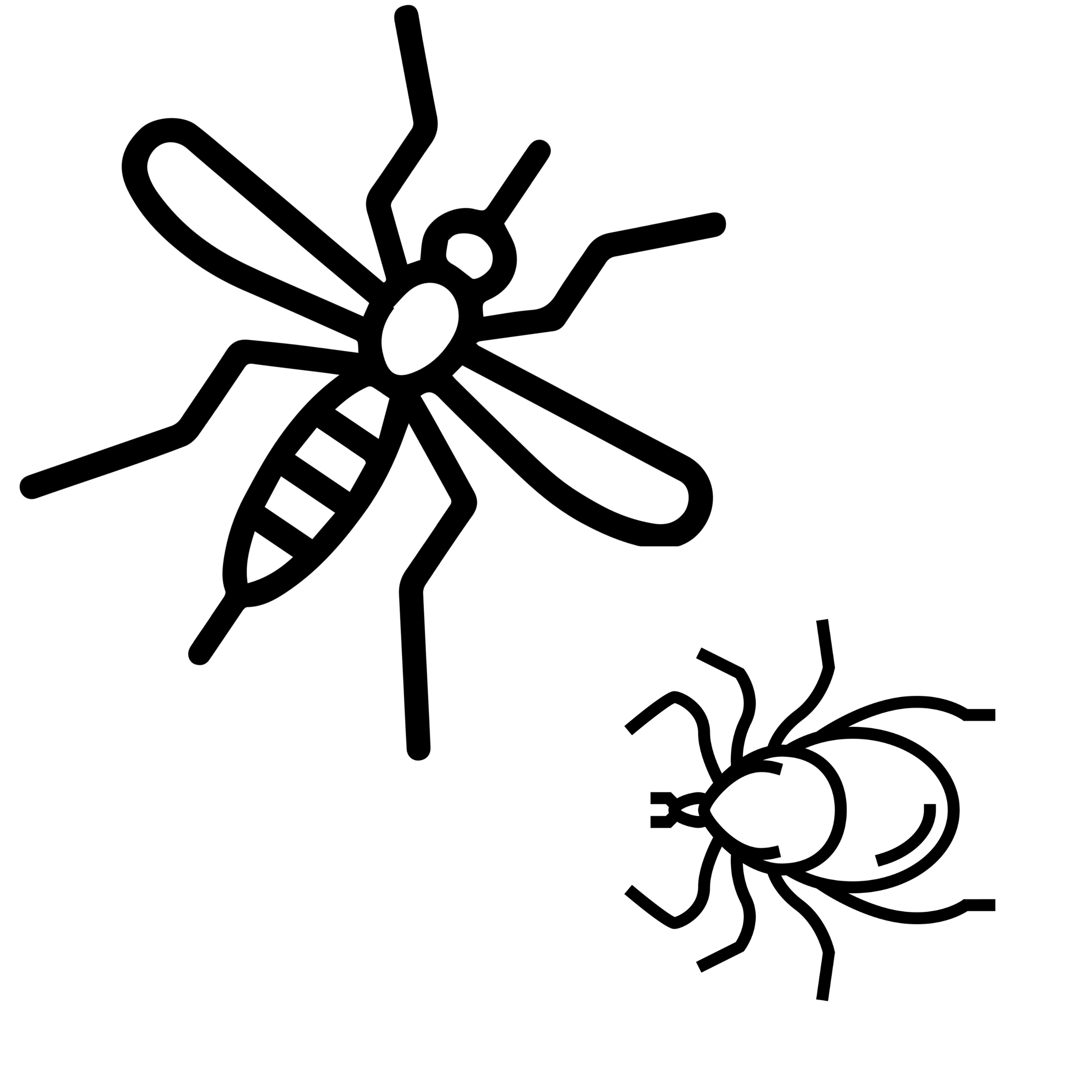 vectorborne