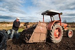 Farmer digging peat